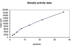Eurofins DiscoverX Bmx Protein, Active 250 &mu;g | Buy Online | Eurofins DiscoverX | Fisher Scientific